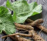 Burdock Root